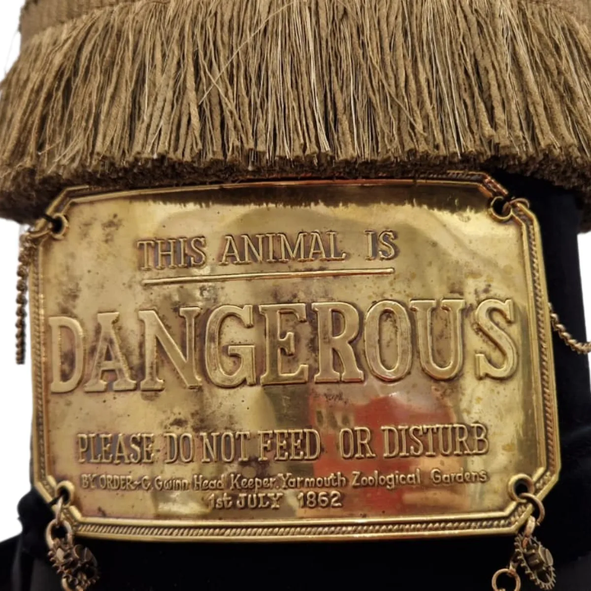 Dangerous Animal Steampunk Stove Top Hat